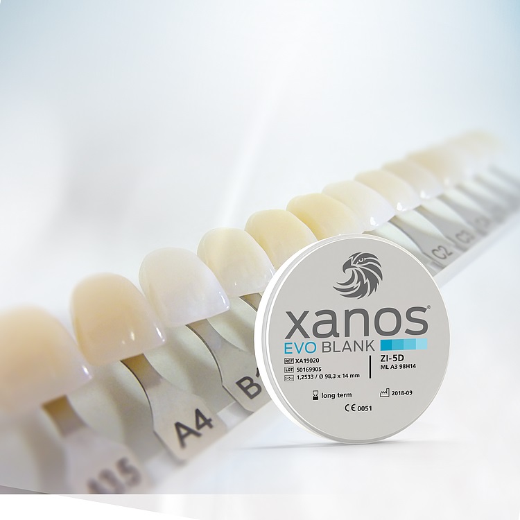 XANOS BLANK ZI-5D ML A1 98x12mm 1pz