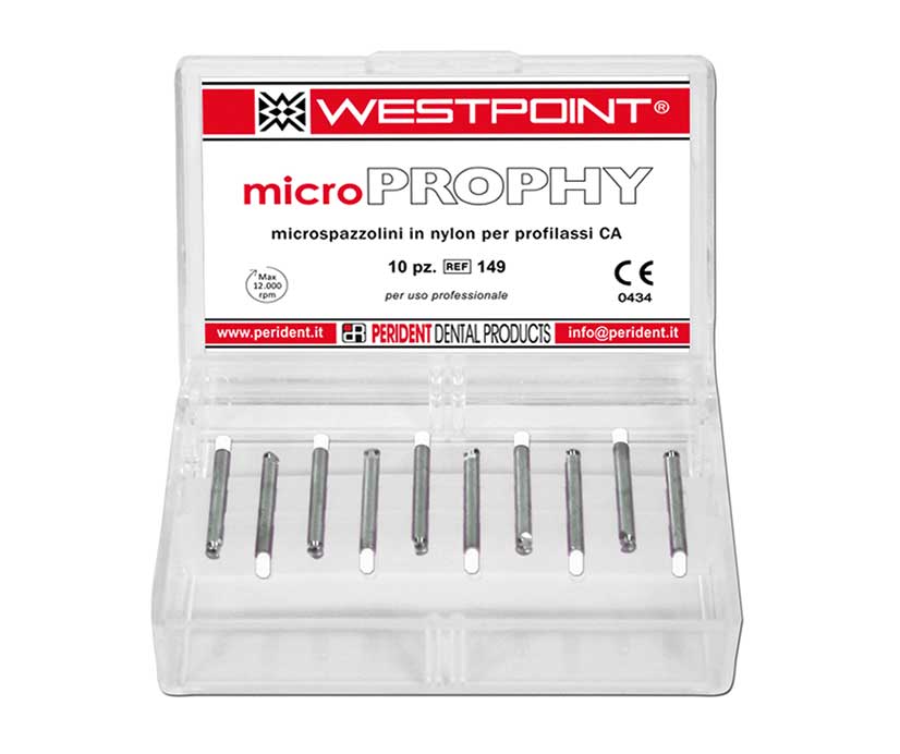 MICRO-BROSSETTES NYLON MICROPROPHY 149 WESTPOINT 10pc